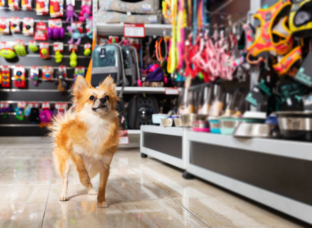 Pet retail sales